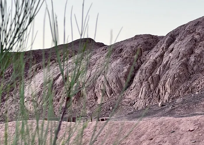Scenery Khalaf Malky