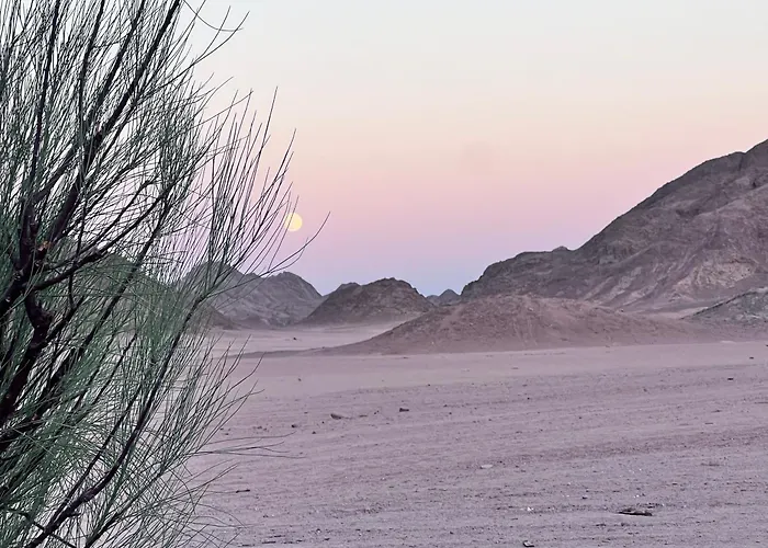 Scenery Khalaf Malky * Gurdaka