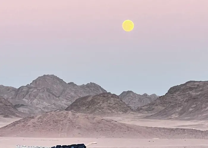 Scenery Khalaf Malky *
