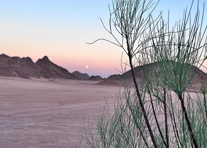 Scenery Khalaf Malky *