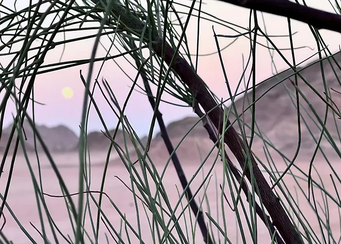 Scenery Khalaf Malky